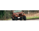 WRANGLER CJ 1982-1987