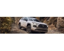 RAV 4 2019--